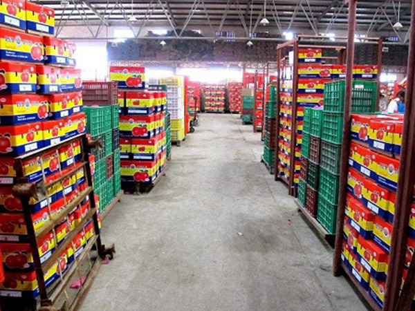 果蔬保鮮庫建造